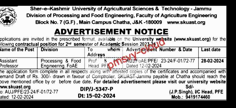 SKUAST-Jammu Job Recruitment 2024